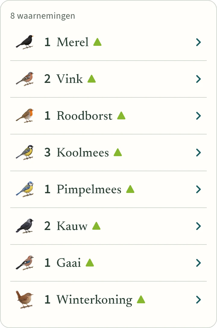 Wat KLAPekster maakt van: Een merel, twee vinken, een roodborst, drie koolmezen, een pimpelmees, twee kauwen, een gaai en een winterkoning.