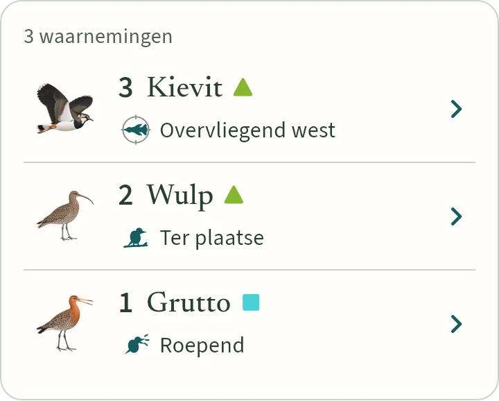 Drie waarnemingen: drie kieviten overvliegend west, twee wulpen ter plaatse en een grutto roepend