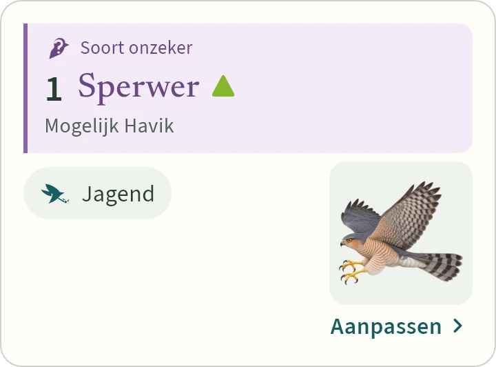 Wat KLAPekster maakt van: Een sperwer of een havik jagend.