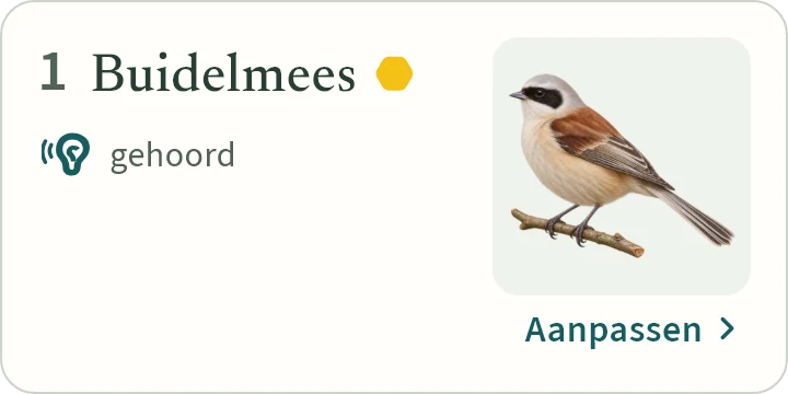 Wat KLAPekster maakt van: Boude meest gehoord.